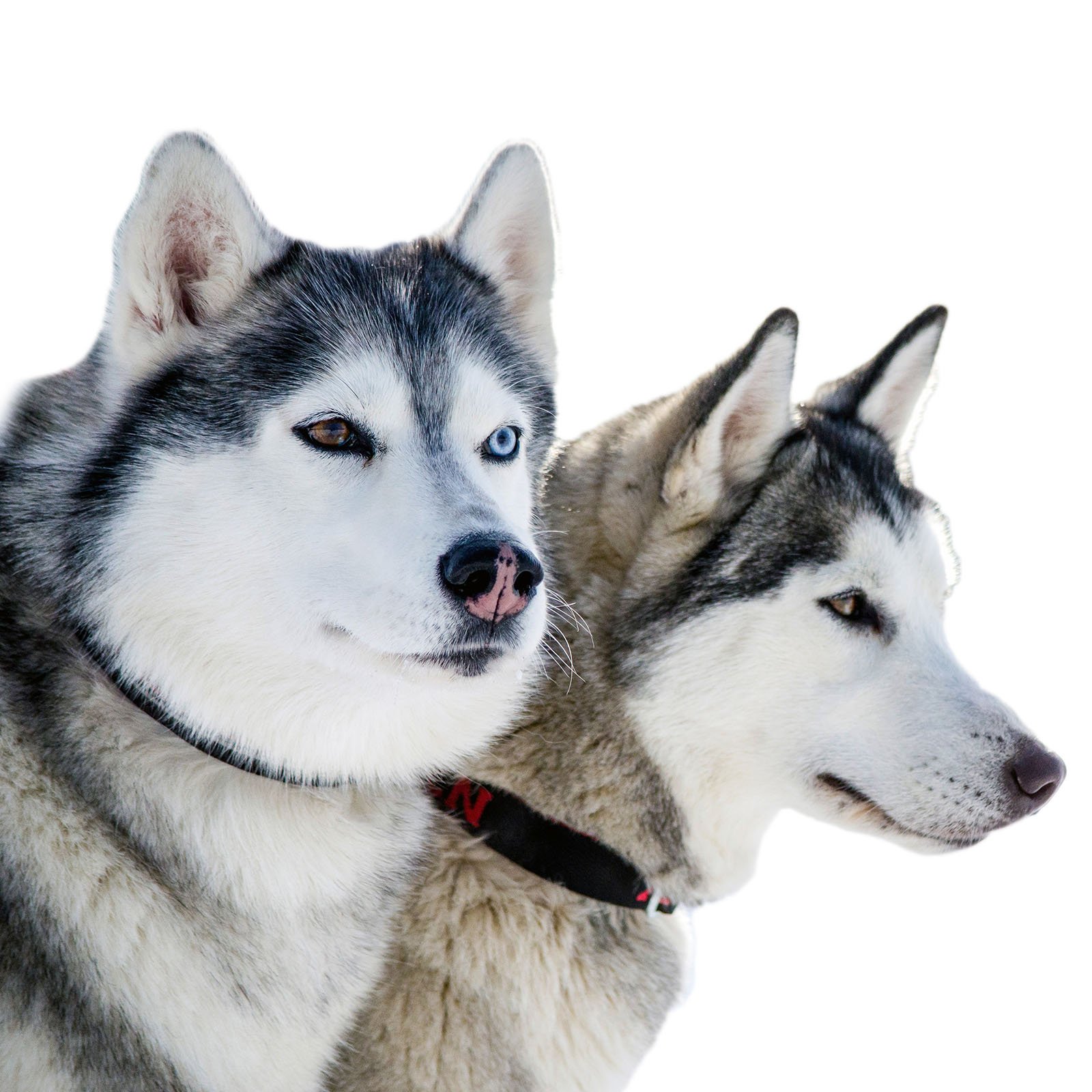 crm-automation_square