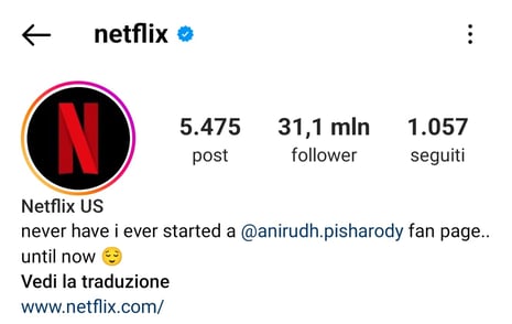 Bio Instagram di Netflix
