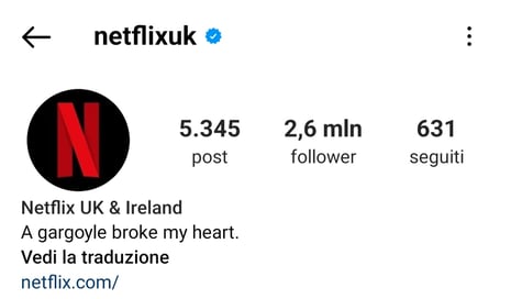 Bio Instagram di Netflix UK