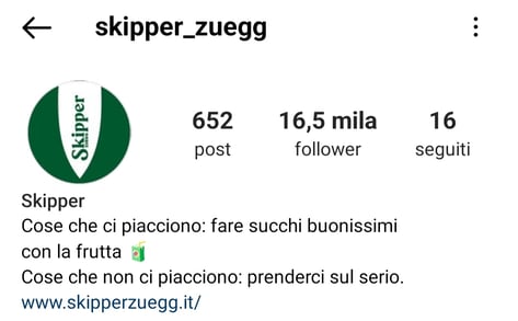 Bio sull'account Instagram di Skipper di Zuegg